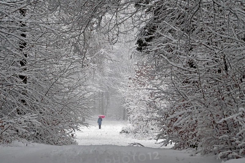 Woman with red umbrella trudging through winter landscape in forest