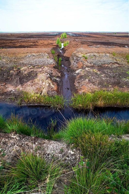 Moor landscape photograph