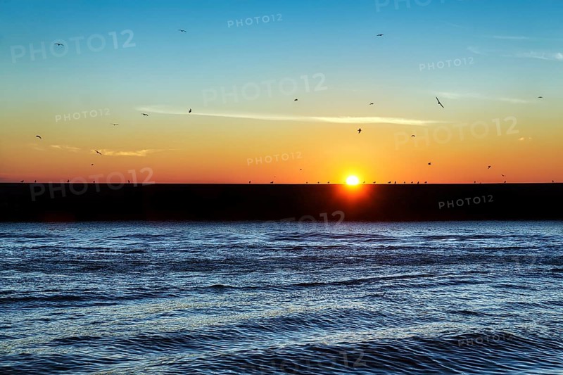 Seagulls on the harbour wall