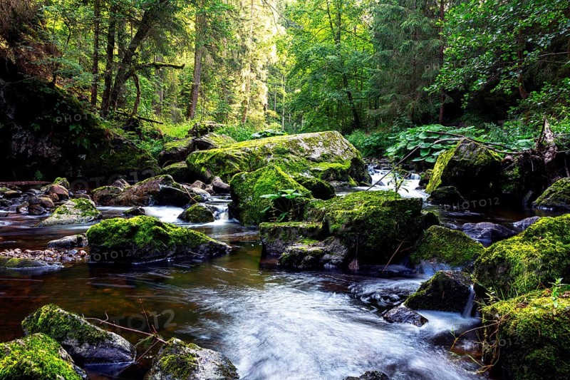 Haslach Gorge
