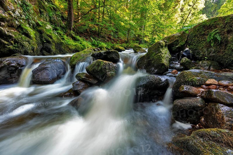 Haslach Gorge