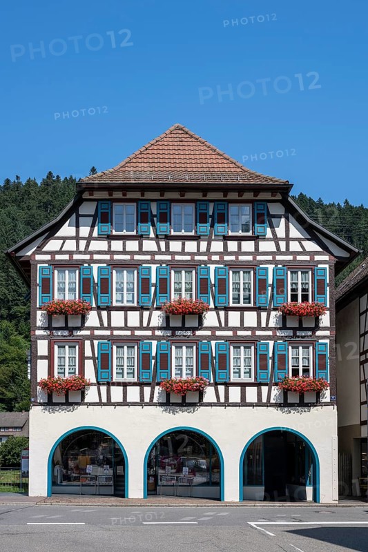 Half-timbered house