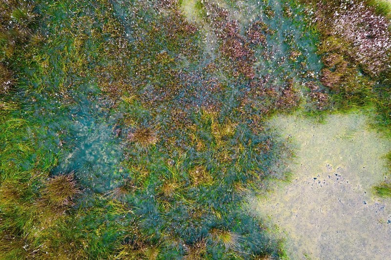 Moor aerial view