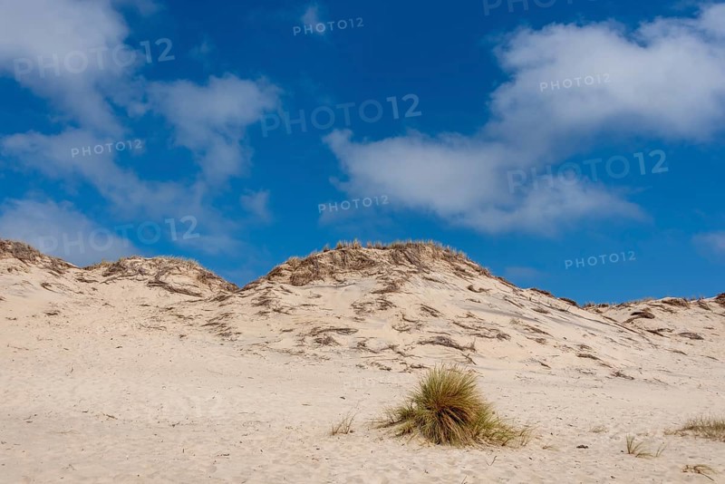 Sand dune on the Bay of Biscay