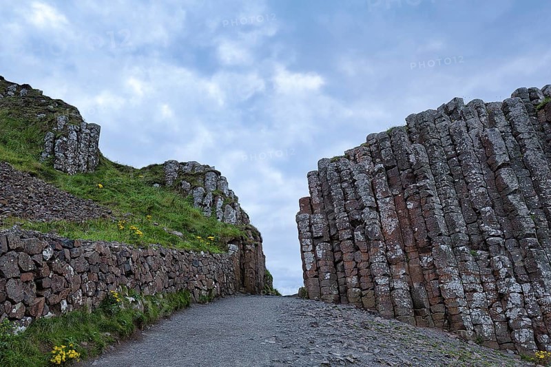 Coast with Basalt Columns