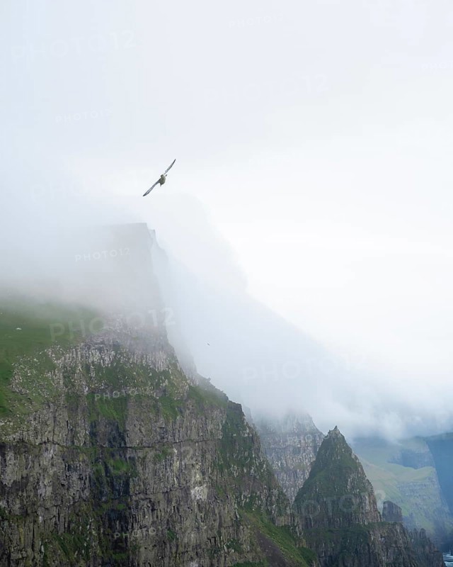 Beinisforo cliff with bird