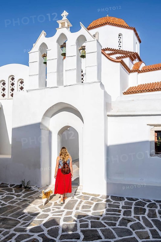 Cat and Young Woman with Red Dress in Walks into an Aisle