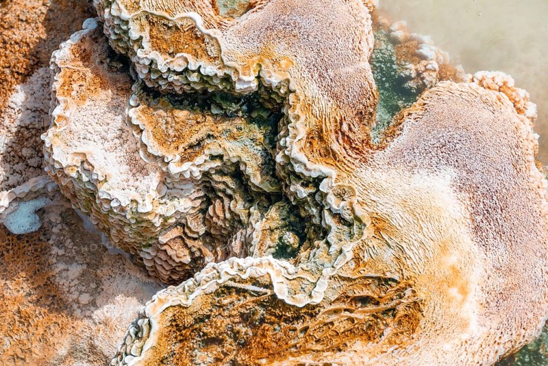 Detail photo
