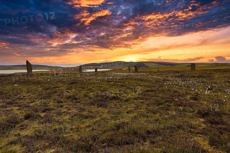 Meadow by a loch
