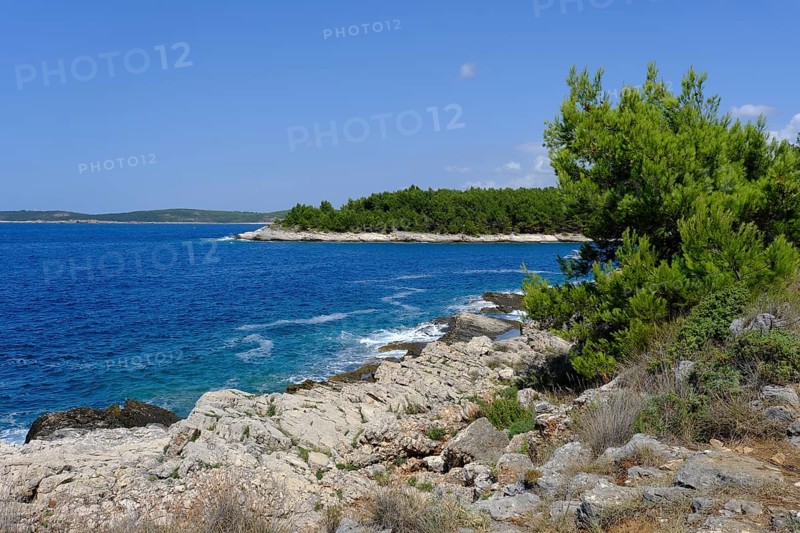 Coast
