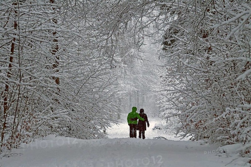 Couple trudging through the winter landscape in the forest