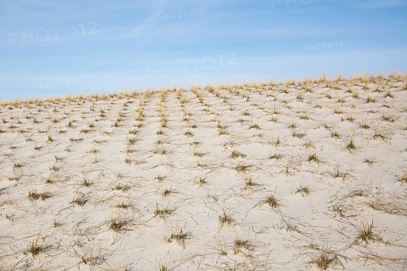 Sand dune