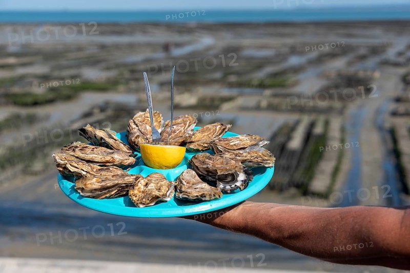 Man holding tray of fresh oysters