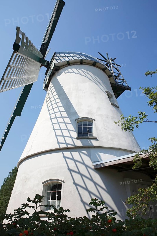 Windmill Betty