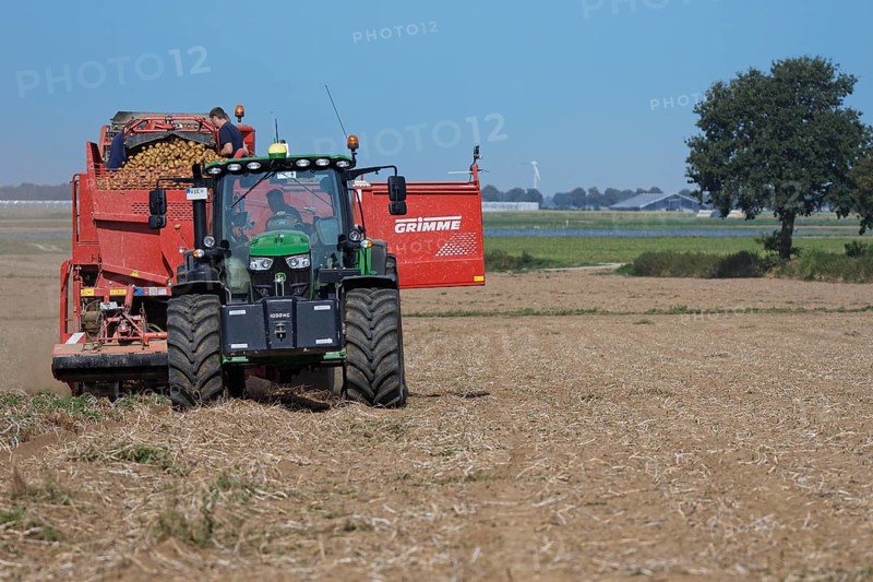 Mechanical potato harvest