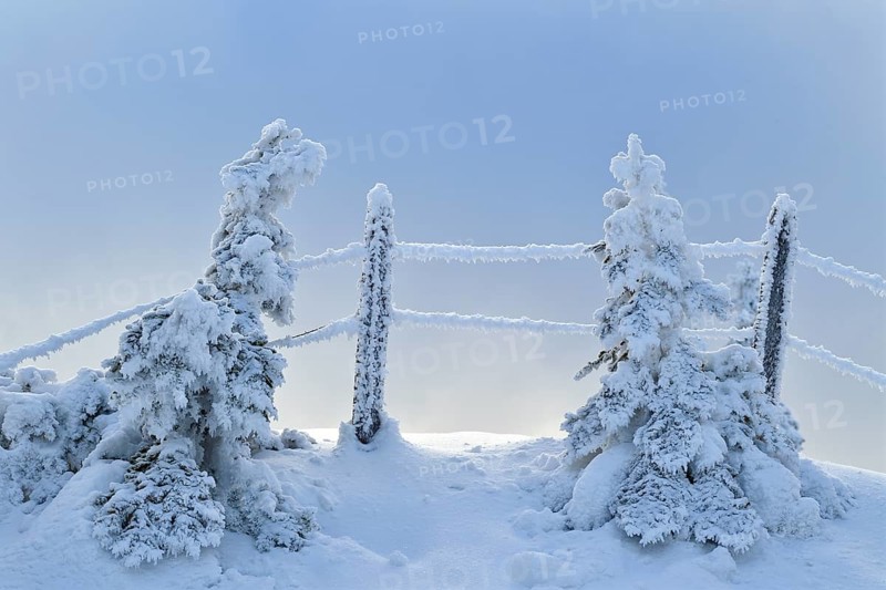Winter Landscape