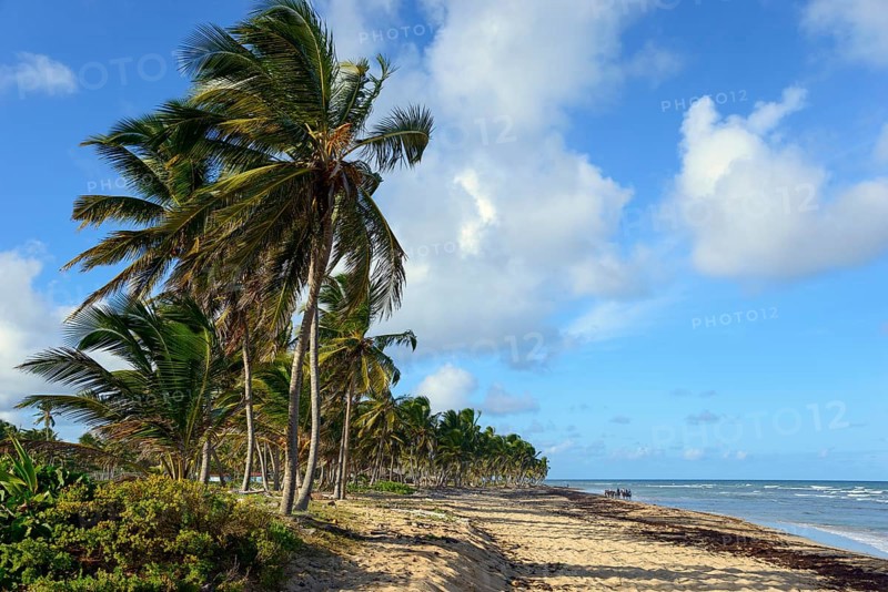 Beach near Uvero Alto