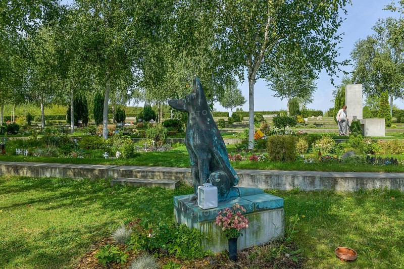 Pet Cemetery