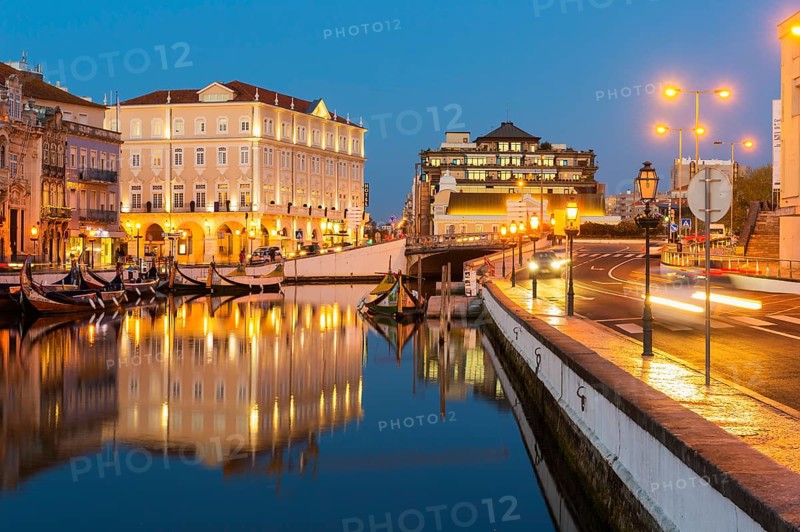 Moliceiros moored along the main canal