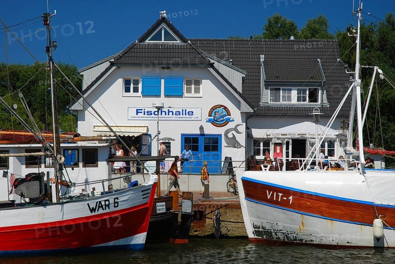 Fishing cutter