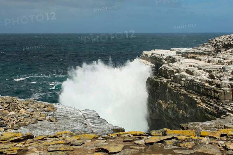 Sealion Island