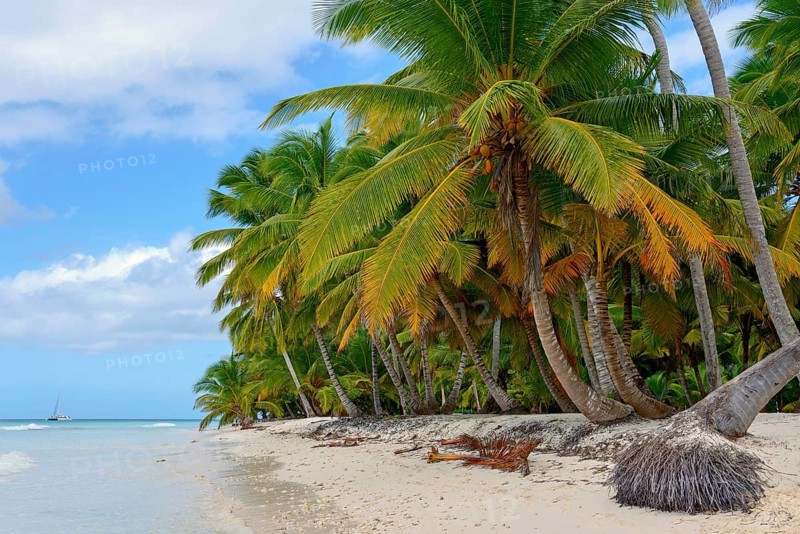 Palm Beach