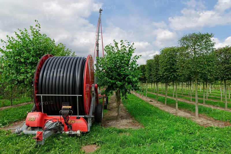 Hose cart in tree nursery