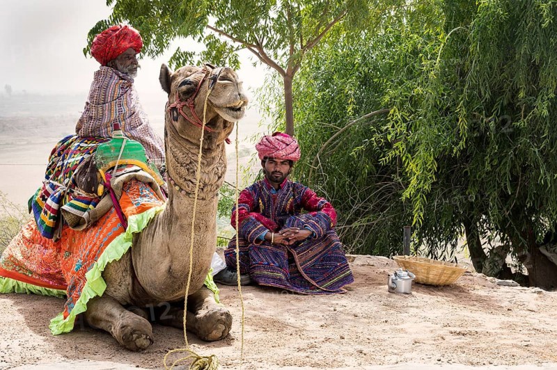 Men of the Dhebariya Rabari community in traditional dress with a dromedary
