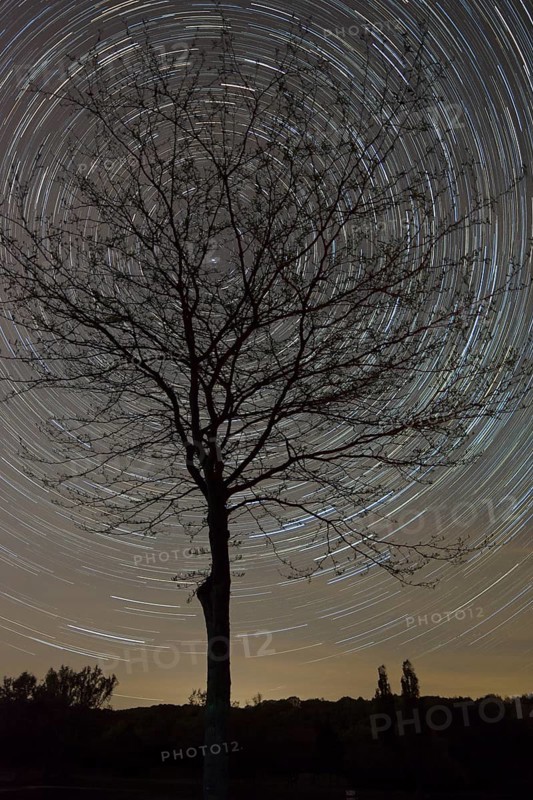Starry sky in May to the north