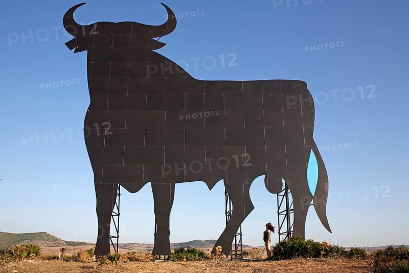 Woman looking at bull silhouette