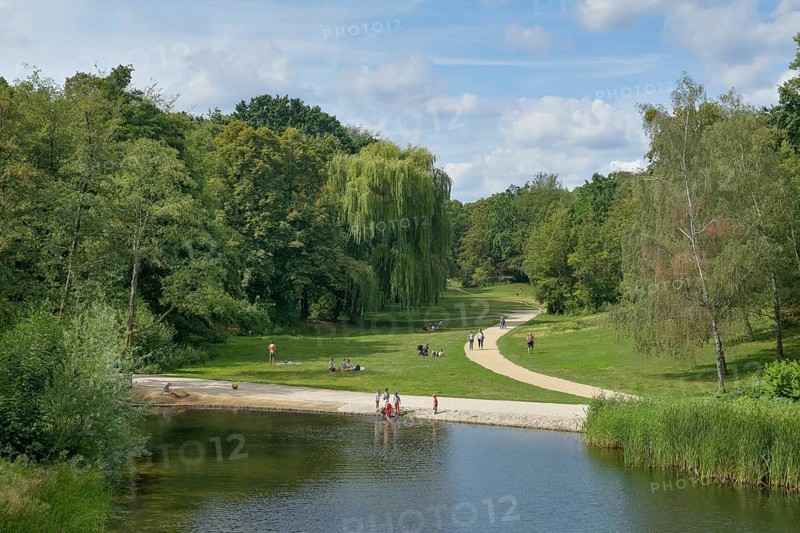 Duck Pond