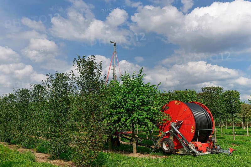 Hose cart in tree nursery
