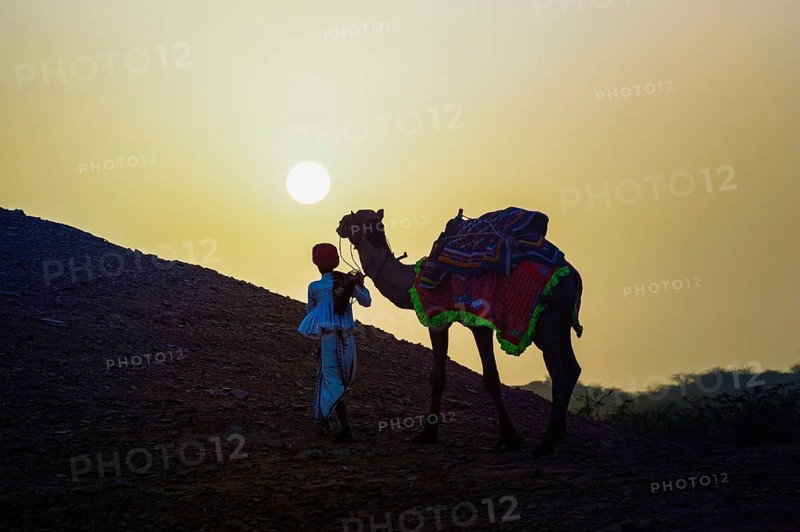 Rabari man climbing a dune with his dromedary at sunset