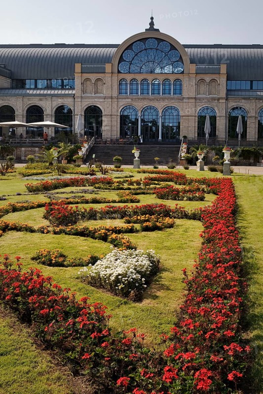 Flora