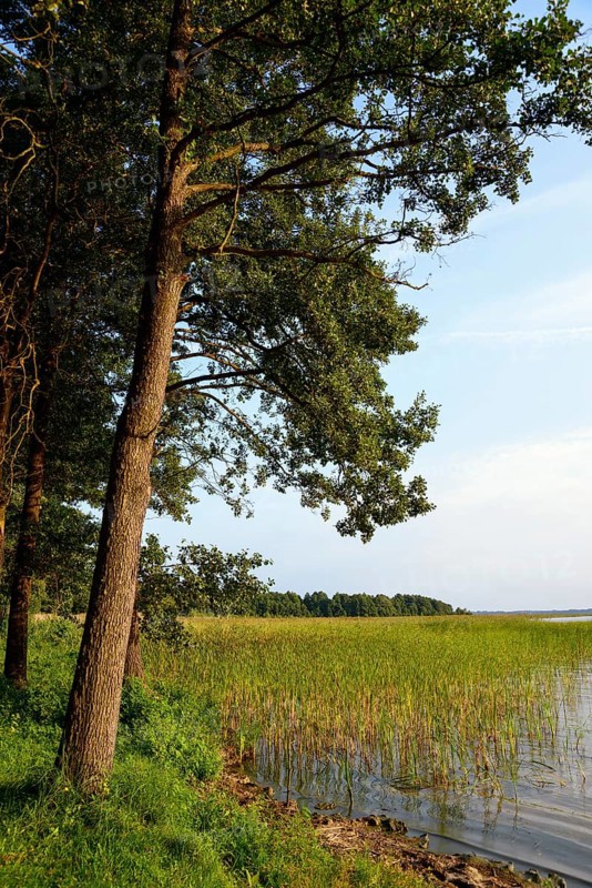 Lake Dargin
