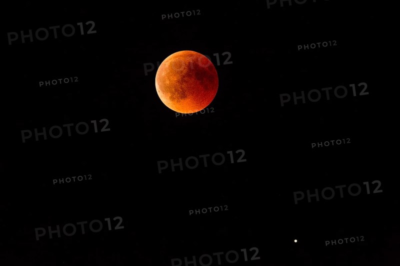 Blood Moon