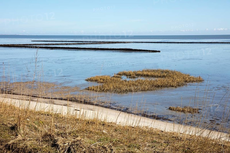 Schleswig-Holstein Wadden Sea National Park