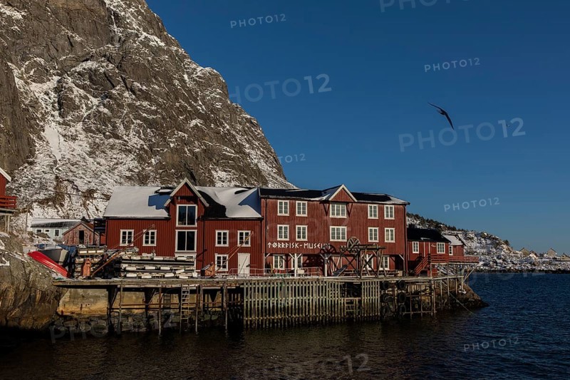 Stockfish Museum