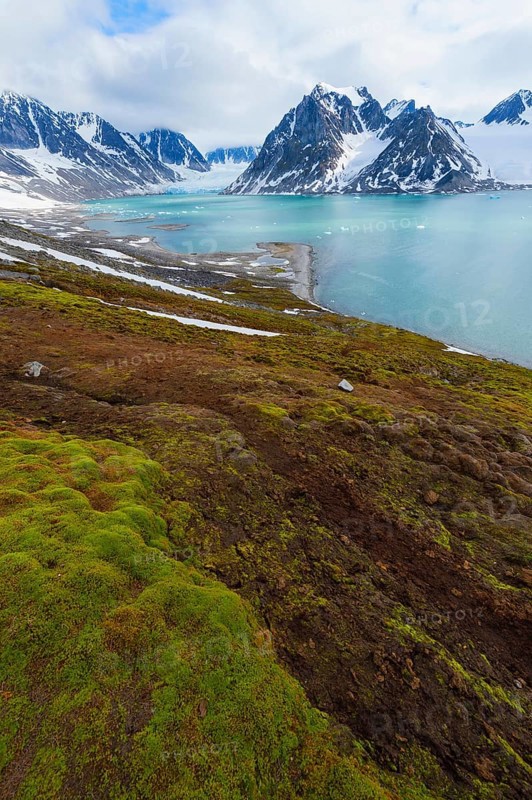 Magdalena Fjord