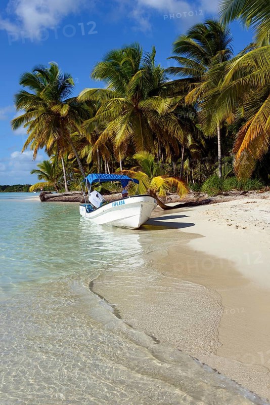 Palm Beach