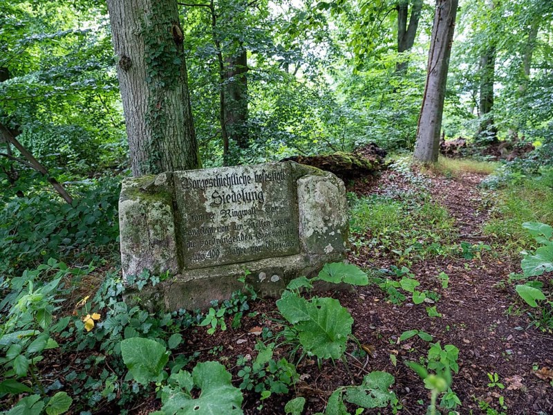 Stone plaque on the inner rampart of a settlement built by the Celts around 400 BC on the Heiligenberg