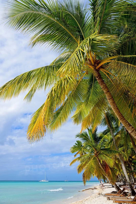 Palm Beach