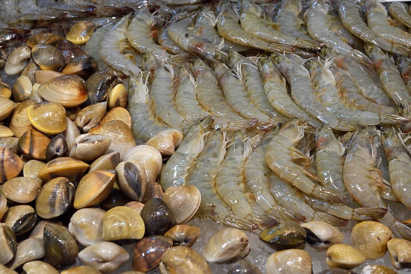 Different kinds of seafood