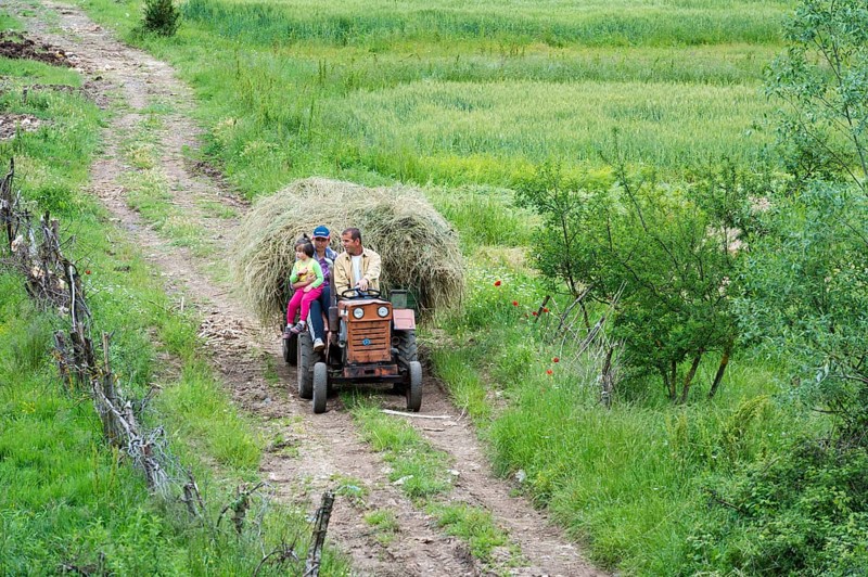 Rural scene