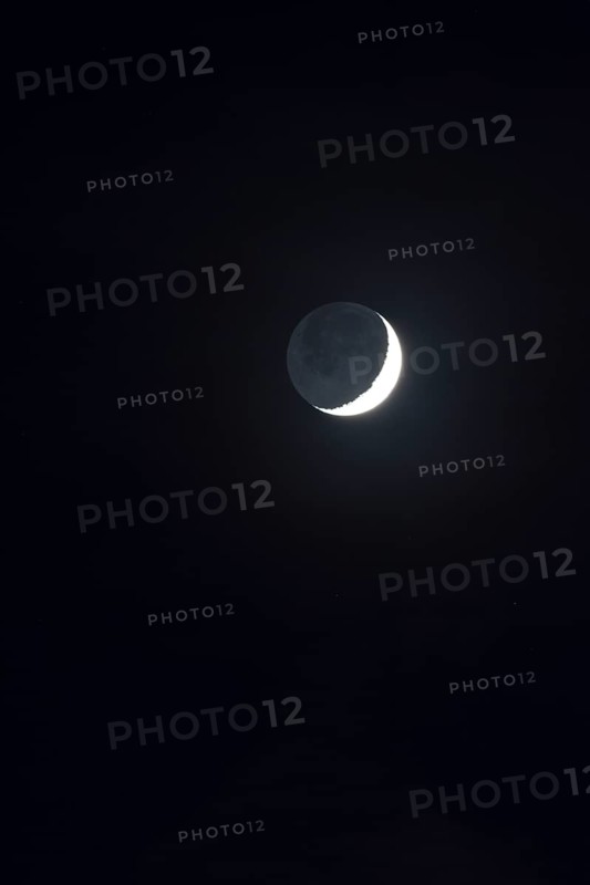Ash grey moonlight