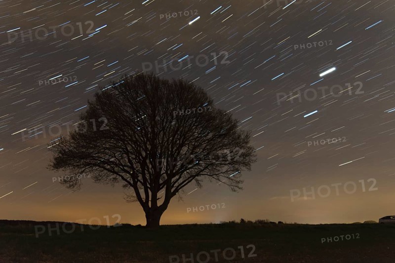 Startrails