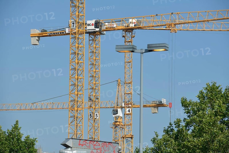 Cranes