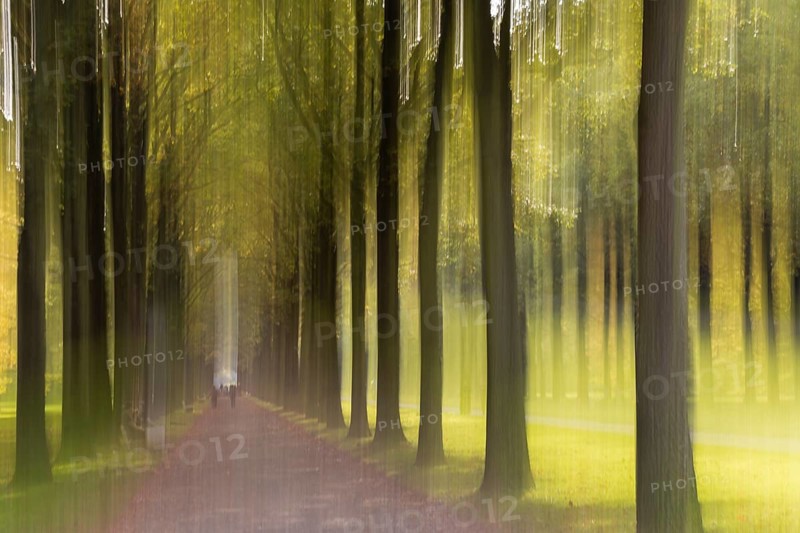 Allee im Herbst