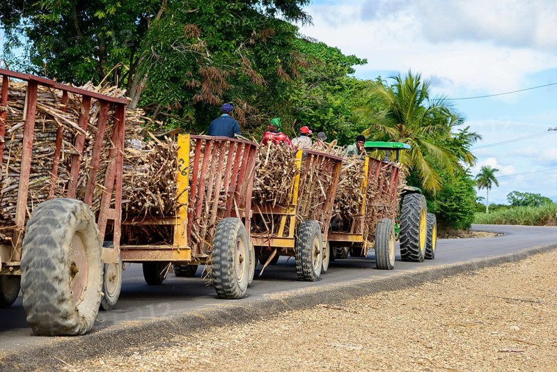 Tractor