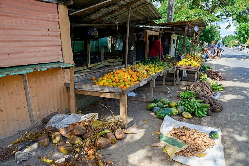 Fruit stand at El Seibo